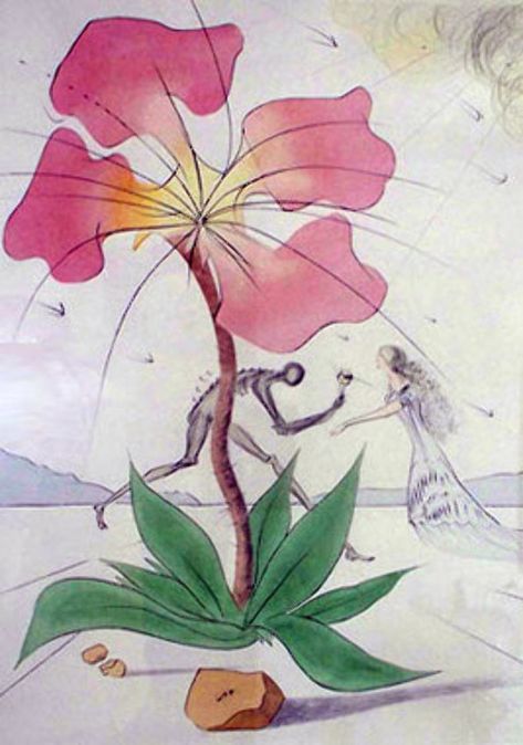 SALVADOR DALI -  drawing art -  flowers Dali Drawing, Salvador Dali Drawing, China Ink, Flower Fairies, Salvador Dali, Cubism, Dali, Drawing Art, Impressionism