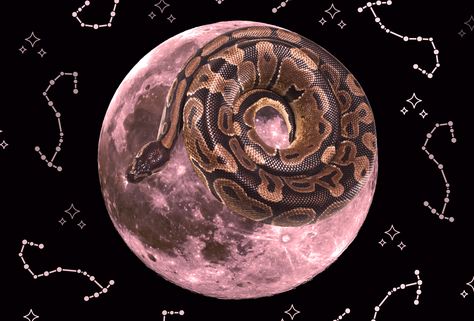 Pink Moon Ritual, Pink Moon Meaning, Scorpio Full Moon, Candle Magick Spells, Constellation Scorpio, Moon Zodiac, Moon Meaning, Moon Magick, Moon Circle