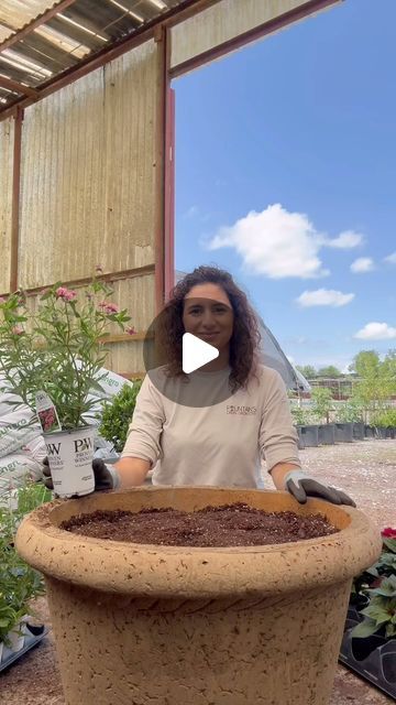 Fountain's Green Grow-Cery on Instagram: "Let’s fill a very large pot with sun loving plants.

🌿gomphrena for the thriller
🌿sunpatiens for the filler
🌿cascading periwinkles for the spiller

This pot was massive but thankfully light. I was able to move it around easily as I planted 😂. 

#gardening #flowers #spring #gardeningideas" How To Fill Large Outdoor Planters, Planter Filler Ideas Large Pots, Large Flower Pot Ideas, Thriller Filler Spiller Ideas Full Sun, Thrillers Fillers Spillers, Large Garden Pots, Large Outdoor Planters, Container Planting, Sun Loving Plants