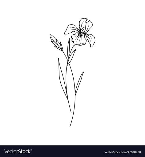 Iris Flower Outline, Fine Line Iris Flower Tattoo, Iris Flower Tattoo Black, Iris Flowers Tattoo, Black Iris Flower, Tattoo Line Drawing, Flower Tattoo Black, Purple Flower Tattoos, Iris Flower Tattoo