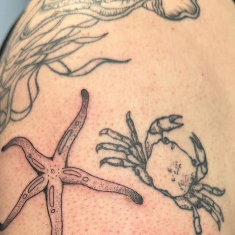 Ziggy Mienko - Hard Easy Tattoo on Instagram: "Blood starfish and the cutest little limpet joined the tide pool party on Michele’s sleeve 🦀🪸🐚 Made with machine; dotwork is handpoked Healed pieces not by me! #oceantattoo #pnwtattoo #tacomatattoo #tacomatattooartist #seattletattooartist #seattletattoo #bellinghamtattoo #olympiatattoo #handpoke #stickandpoke #tidepools #pnw" Tide Pool Tattoo, Ocean Patchwork Tattoo, Jack Johnson Tattoo, Skin Doodles, Water Tattoos, Ocean Sleeve Tattoos, Pnw Tattoo, Ocean Sleeve, Starfish Tattoo