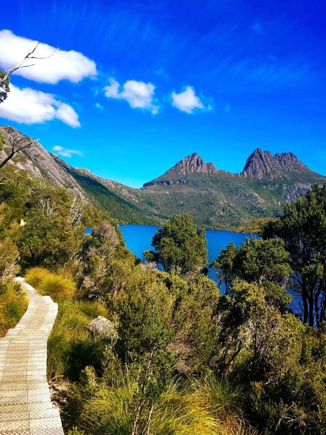 Tasmania, Australia! Cataract Gorge in Launceston, Wineglass Bay in Freycinet National Park and hiking the trails of Cradle Mountain National Park. Oh and Wallabies! Lots of Wallabies! Australia Nature Photography, Freycinet National Park, Australian National Parks, Tasmania Aesthetic, Tasmania Hiking, Australian Mountains, Australia Hiking, Hiking Australia, Wineglass Bay