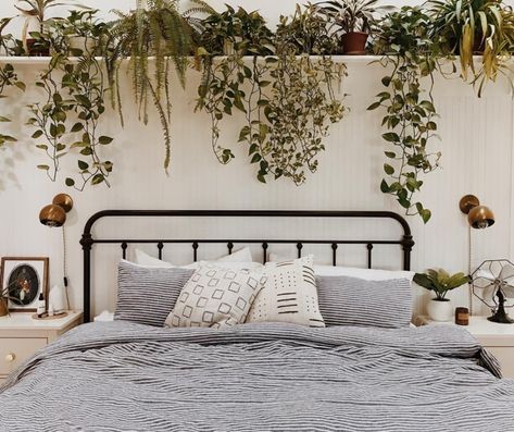 Plants above. Plants Above Bed, Shelf Above Bed, Jungle Bedroom, Shelf Decor Bedroom, Lots Of Plants, Plant Shelf, Bedroom Plants, Above Bed, Master Bed