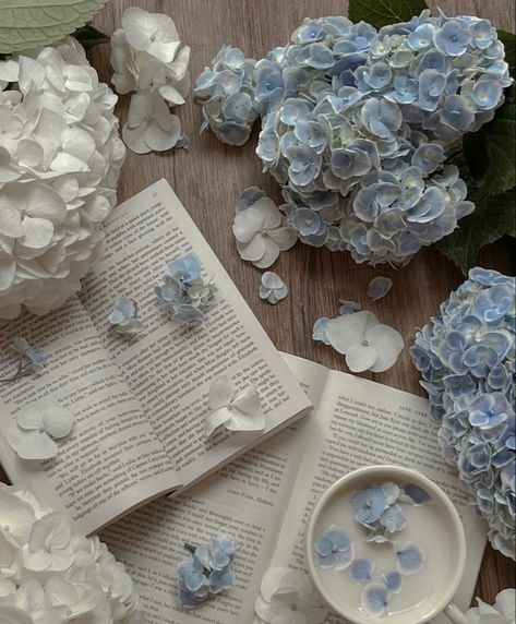 Calmness Aesthetic, Soft Academia Aesthetic, Blue Cottagecore, Blue Cookies, Antique Aesthetic, Light Blue Aesthetic, Blue Aesthetic Pastel, Book Flowers, White Books