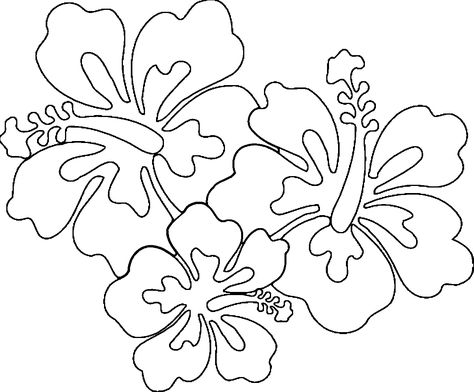 Coloring Hawaiian Pages Flower Flowers Tropical Drawings Hawaii Drawing Colouring Yahoo Startling Leaves Templates Popular Children Outline Template Coloringhome Sketch Coloring Page Printable Flower Coloring Pages, Mermaid Coloring Book, Hawaii Flowers, Baby Coloring Pages, Shark Coloring Pages, Abstract Coloring Pages, Flower Line Drawings, Hibiscus Plant, Flower Outline