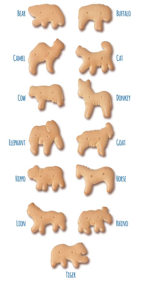 Frosted Animal Crackers, Cracker House, Animal Cracker, Kinds Of Animals, Circus Animal Cookie, Circus Animals, Animal Crackers, Animal Cookies, Felt Food