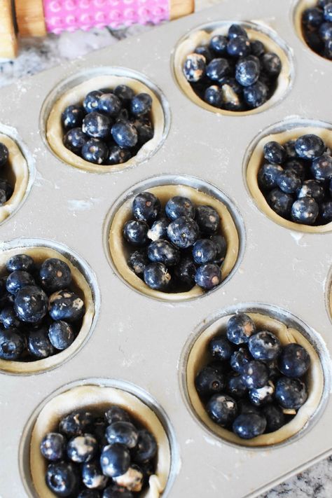 Mini Pie In Muffin Tin, Mini Blueberry Cream Cheese Tarts, Blueberry Pie Mini, Small Blueberry Pie, Mini Blueberry Cobbler, Cupcake Tin Pies, Muffin Tin Pies Desserts, Mini Blueberry Pies In Muffin Tin, Blueberry Pie Bites