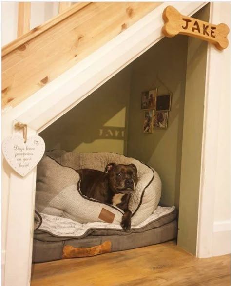 Dog Rooms Under Staircase, Pet Nook Under Stairs, Dog Inside House, Doghouse Under Stairs, Dog Crate Under Stairs Built Ins, Dog Spot Under Stairs, Pet Bed Under Stairs, Dogs Corner In House, Dog Cave Under Stairs