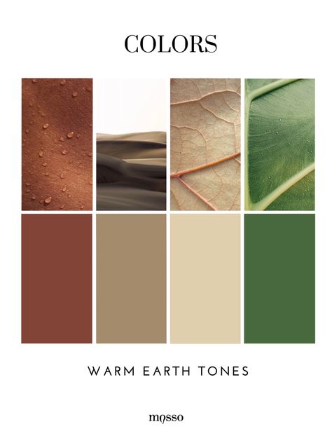 Biophilic Color Palette, Earth Tones Branding, Earthy Colors Palette, Warm Color Pallet, Warm Earth Tone Color Palette, Earthy Mood Board, Earth Color Palette, Color Palette Earth Tones, Earth Tones Palette