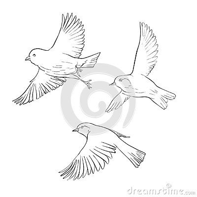 Bird Sketch, Sparrows, Song Bird, Birds Flying, Nature Design, Design Element, Line Drawing, The Sky, How To Draw Hands