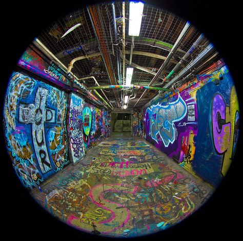 Graffiti Tunnel, Fisheye Photography, Swag Pics, Sensory Art, University Of Sydney, Eye Lens, Fish Eye, Fish Eye Lens, Street Graffiti