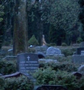 This photo was taken at night in an empty cemetary to practice night shots yet someone showed up behind the tree. Real Ghost Photos, Ghost Caught On Camera, Paranormal Pictures, Paranormal Photos, Ghost Sightings, Spirit Ghost, Ghost Images, Spooky Places, Real Ghosts