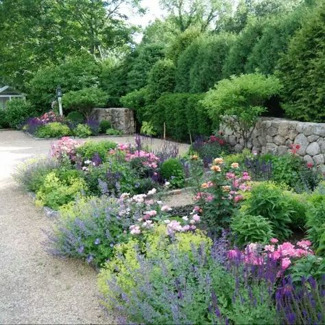 Driveway Makeover, Cottage Garden Design, Plant Combinations, Cottage Gardens, Garden Borders, Flower Gardens, Gorgeous Gardens, Hibiscus Flower, Landscaping Design