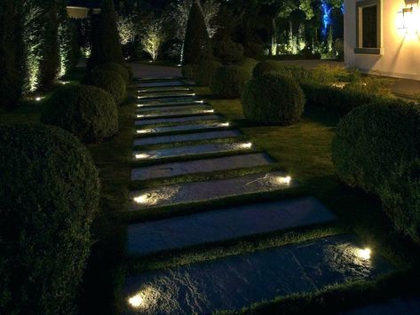 Paver Lights, Layout Web, Driveway Lighting, Lighting Uk, Dry Creek, Pathway Lighting, Path Lights, Garden Landscape Design, Solar Lights Garden