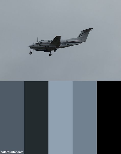 G-flyw Color Scheme from colorhunter.com Military Color Palette, Cessna 421, Military Color, Brand Color Palette, Brand Colors, Color Scheme, Color Schemes, Color Palette, Diy Projects