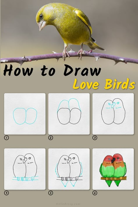 6 steps demonstrating how to draw a how to draw love birds for kids. How To Draw Love Birds Step By Step, Paint Birds Easy, How To Draw Love Birds, Love Birds Drawing Simple, How To Draw Birds Step By Step Simple, Easy Bird Drawing For Kids, How To Draw Birds Easy, How To Draw A Bird, Bird Drawing Simple