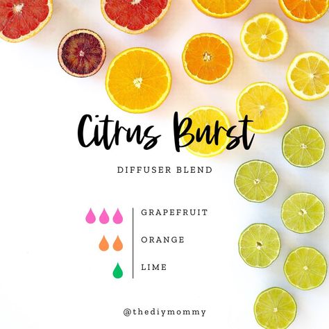 Essential Oils for Spring: Best Diffuser Blend Recipes | The DIY Mommy Fruity Essential Oil Blends, Spring Essential Oil Blends, Diy Linen Spray, Spring Diffuser Blends, Diffuser Scents, Best Diffuser, Diy Mommy, Diluting Essential Oils, Tangerine Essential Oil