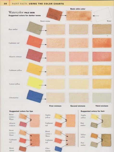 Watercolor Skin Tones, Color Mixing Chart, Winsor And Newton Watercolor, Watercolor Mixing, Watercolor Tips, Pigment Coloring, Cat Air, Watercolor Painting Techniques, Watercolor Palette