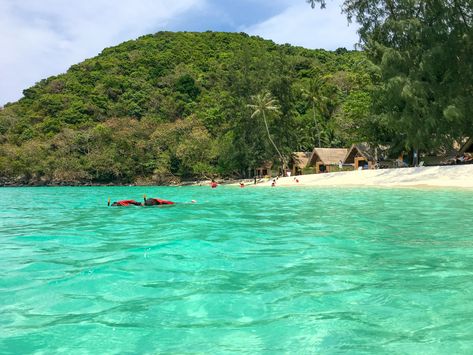 Snorkelling at Coral Island, Phuket, Thailand Coral Island Phuket, Coral Island Thailand, Black Sea Urchin, Coral Island, Travel Money, Phuket Thailand, Island Hopping, Pattaya, Black Sea