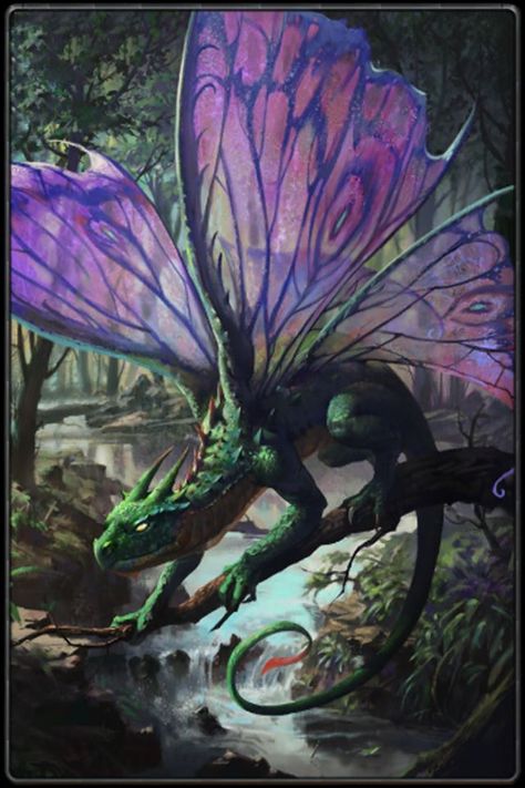 1000+ images about Fairy Dragon Concepts on Pinterest | Baby ... Faerie Dragon Art, Fairy Dragon Dnd, Faerie Dragon Dnd, Fairy Dragon Art, Dragon Monarch, Faerie Dragon, Dragon Butterfly, Dragon Fairy, Reference Board