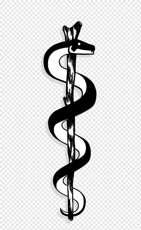 Medical Staff Tattoo, Staff Of Asclepius Tattoo, Rod Of Asclepius Tattoo, Medicine Tattoo Ideas, Hermes Caduceus, Veterinarian Tattoo, Medicine Tattoo, Medical Tattoos, Staff Of Hermes