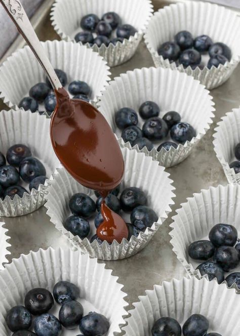 Snacks For The Beach Summer, Yummy Snacks Easy Quick, Blueberry Truffles, Chocolate Covered Blueberries, Fruit Treats, Blueberry Chocolate, Chocolate Covered Fruit, Candy Recipes Homemade, Blueberry Recipes