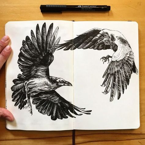 Samantha Zim on Instagram: "November 2019➡️November 2015 • Today's a serendipitous day for me. Almost exactly four years ago I sat down with a pen in my hand again, having left the medium alone for years. Turns out, these two are the first ravens I've drawn since that day, as I took my first wobbly steps back into pen and ink. And what a ride those four years have been. As with the circling of birds, these ravens coming back to roost have a seasonal feel, and they bring with them a new season in Raven Sketches, Easy Raven Painting, Crow Ink Drawing, Two Ravens, Raven Sketch, Raven Drawing, The Raven Poem, Raven Art, Pen Art