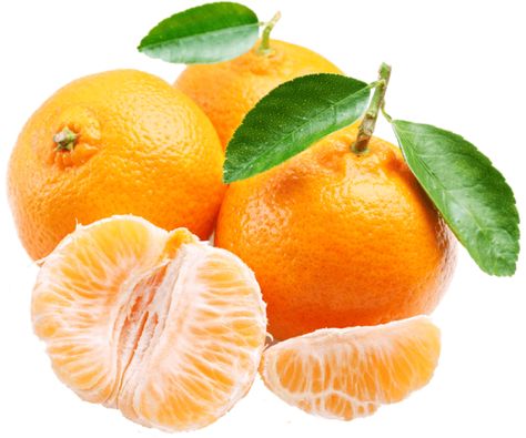 Satsuma Fruit, Mandarin Tree, Tangerine Essential Oil, Citrus Plant, Fruit Orange, Sweet Citrus, Fruit Seeds, Tree Seeds, Orange Tree