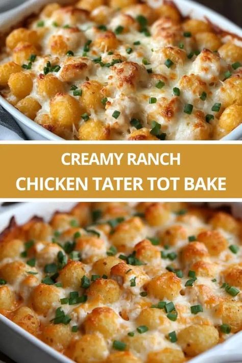 Creamy Ranch Chicken Tater Tot Bake Chicken Sorrentino, Tater Tot Bake, Creamy Ranch Chicken, Chicken Tater Tot Casserole, Tater Tot Recipes, Ranch Sauce, Chicken Casseroles, Creamy Ranch, Chicken Bacon Ranch