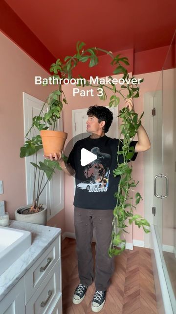 Marco Zamora on Instagram: "Part 3 bathroom makeover 🌱🪟this plant window is so easy to create and makes such a difference. Love my new mini monstera so much #plantwindow #plants #interiordesign #bathroomdesign 

Plant PC: @malinbrostad" Want Zamora, Plant Living Room Aesthetic, Indoor Plant Shelf Ideas, Mini Monstera Plant, Mini Monstera, Indoor Plant Shelves, Plant Window, Monstera Plant, Plant Shelves