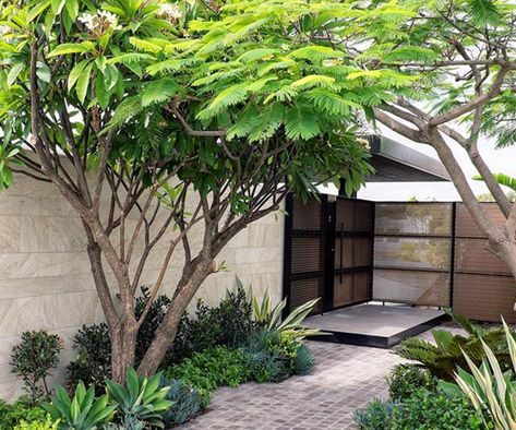 Having a small backyard shouldn't stop you from planting trees! whether you’re looking for some fast-growing shade trees or an ornamental potted tree to liven up a small garden space, here are 10 trees to plant in your backyard - no matter how large or small! Chinese Courtyard Garden, Small Garden Entrance Ideas, Blairgowrie House, Green Entrance, Tropical Courtyard, Chinese Garden Design, Plant Buddies, Garden Ideas Diy, Sandstone Pavers