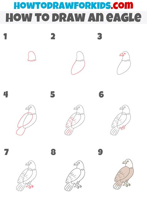 How To Draw Eagle, Eagle Doodle, Simple Eagle Drawing, How To Draw An Eagle, How To Draw An Eagle Step By Step, How To Draw A Egale Step By Step Easy, Drawing Eagle Easy, Eagle Step By Step Drawing, Egale Drawing