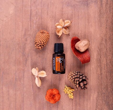 Prepare for autumn leaves and delicious spicy smells with Harvest Spice® Gathering Blend. Available for a limited time while supplies last! http://my.doterra.com/15851696 August 11, Doterra, Autumn Leaves, Limited Time, On Instagram, Quick Saves, Instagram