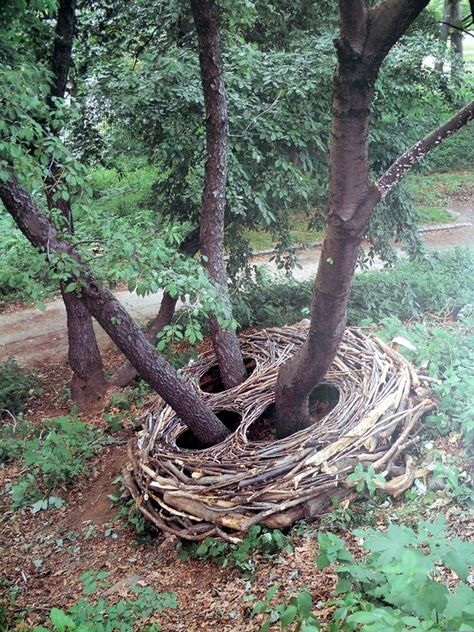 40 Stunning Land Art Installations - Bored Art Ephemeral Art, Natural Things, Andy Goldsworthy, Earth Art, Greenhouse Gardening, Forest Art, Outdoor Sculpture, Sculpture Installation, Outdoor Art