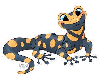 Cartoon Lizard, Fire Salamander, Gecko Wall Art, Baby Drawing, Anime Animals, Animal Sketches, Cute Animal Drawings, Illustration Character Design, Gecko