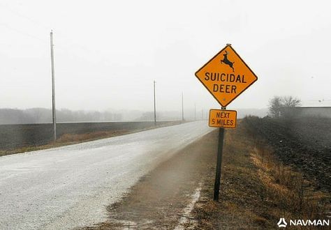 Deer Jumping, Weird Signs, Ford County, Deer Crossing, Deer Signs, Jeepster Commando, Funny Items, Animal Funnies, Signs Of Life