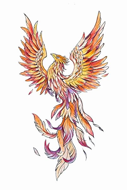 Mythic Tattoo, Drawing Reference Clothing, Phoenix Mythology, Phoenix Painting, Women Sketch, Phoenix Drawing, Phoenix Bird Art, Corak Batik, Phoenix Tattoo Feminine