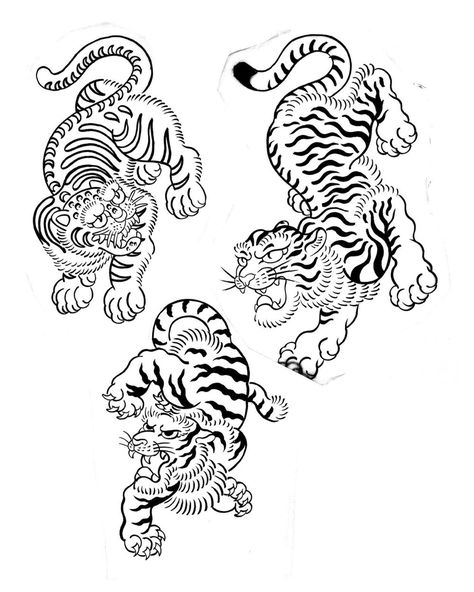 Siamese Tattoo, Japanese Tiger Art, Dragon Tiger Tattoo, White Tiger Tattoo, Japanese Tiger Tattoo, Kiss Emoji, Japanese Tiger, Chicano Lettering, Tiger Tattoo Design