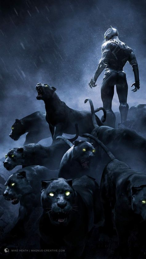 Black Panther Hd Wallpaper, Wallpaper Film, Black Panther Chadwick Boseman, Panther Art, Black Panther Art, Wallpaper Disney, Marvel Superhero Posters, Marvel Artwork, Black Panthers