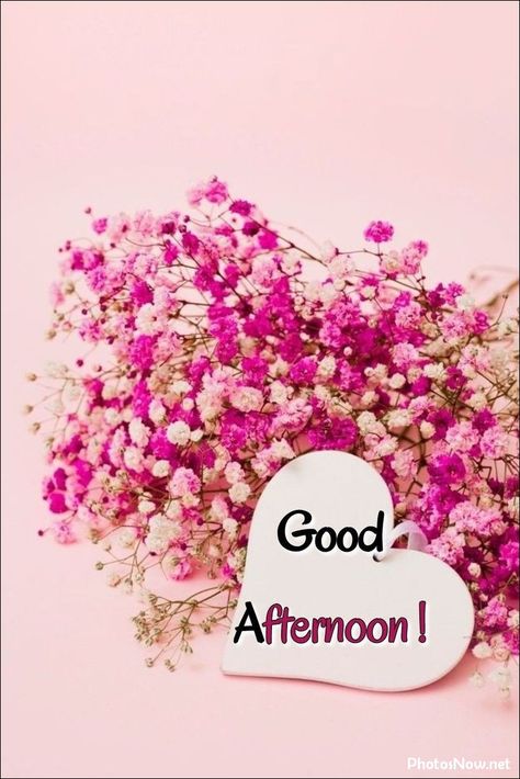 good-afternoon-images Good Afternoon Images Beautiful Love, Afternoon Images Beautiful, Good Afternoon Images Beautiful, Good Afternoon Post, Good Afternoon Images Hd, Good Afternoon My Love, Beautiful Morning Images, Afternoon Messages, Good Afternoon Images