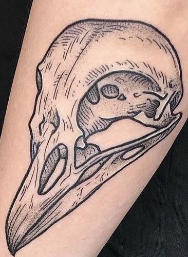 Chicken Skull Tattoo, Bird Bones Tattoo, Bird Skeleton Tattoo, Crow Skull Tattoo, Bird Skull Tattoo, Bird Bones, Tattoo Board, Bone Tattoos, Crow Skull