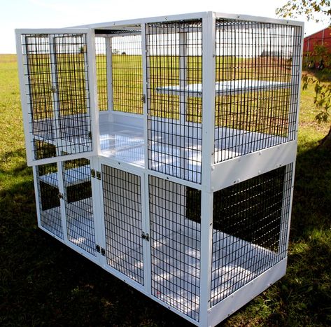 Baby Rabbits Cute, Outdoor Aviary, Cat Cages Indoor, Rabbits Cute, Outdoor Pet Enclosure, Siberian Forest Cat, Cat Villa, Baby Rabbits, Dog Kennel Designs