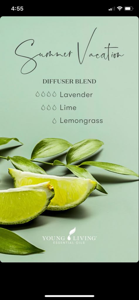 Essential Oil Recipes Diffuser Spring, Lime Essential Oil Diffuser Blends, Refreshing Diffuser Blends, Summer Essential Oil Diffuser Blends, Spring Essential Oil Diffuser Blends, Spring Oil Diffuser Blends, Summer Diffuser Blends Young Living, Lemon Essential Oil Blends, Lemongrass Essential Oil Blends