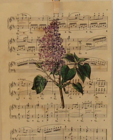 The Decorating Diaries: Make Your Own Antique Sheet Music Hymnal Art, Sheet Music Crafts, Sheet Music Art, Flower Press, Old Sheet Music, Music Crafts, Botanical Artwork, Pressed Flower Art, Music Sheets