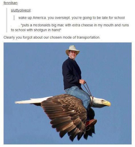 Country Memes, Funny Tumblr Posts, Tumblr Funny, Tumblr Posts, Hetalia, Funny Posts, Funny Cute, Dankest Memes, Bald Eagle