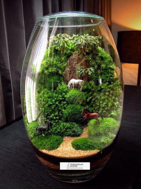 Inspiration: 15 amazing terrarium ideas with moss, ferns, air plants and succulents - Home & Decor Singapore Terrarium Scene, Terrarium Jar, Diy Succulent Terrarium, Miniature Terrarium, Terrarium Ideas, Beautiful Terrariums, Mini Terrarium, Hamster Cage, Deco Nature