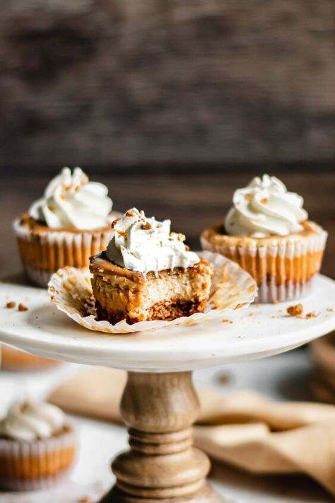 Mini Cookie Butter Cheesecake, Unique Cheesecakes, Mini Biscoff Cheesecake, Cheesecake For One, Unique Cheesecake, Cookie Butter Cheesecake, Personal Desserts, Pumpkin Swirl Cheesecake, Speculoos Cookies