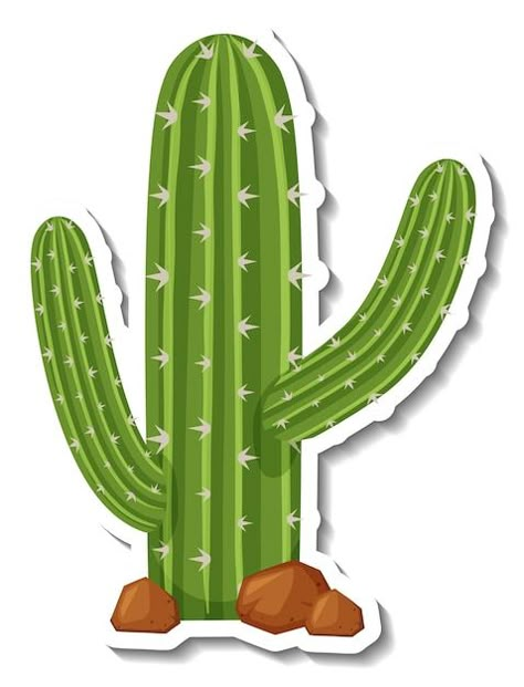 Mexico Cactus, Cactus Cartoon, Cactus Silhouette, Opuntia Cactus, Cactus Png, Prickly Cactus, Plant Cartoon, Cactus Vector, Cactus Clipart