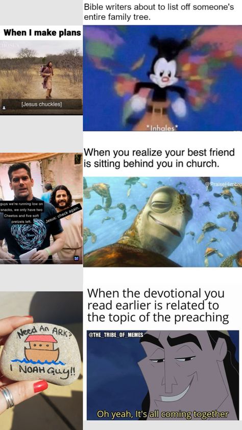 Funny Jesus Memes Hilarious, Funny Christian Memes Hilarious, Christian Memes Funny, Sheep Meme, Funny Jesus Memes, God Humor, Godly Lifestyle, Christian Humour, Funny Bible