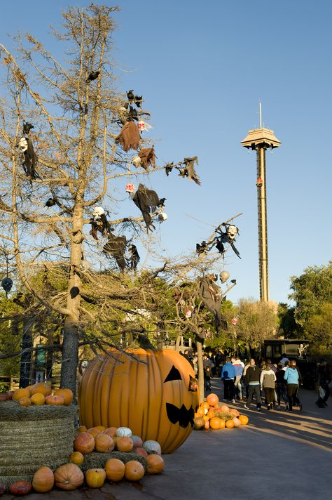 Halloween PortAventura Halloween Carnival Aesthetic, California Adventure Halloween, Halloween Ferris Wheel, Halloween Amusement Park, Disneyworld Halloween Aesthetic, Halloween Attractions, Happy Valley, Salou, Amusement Park